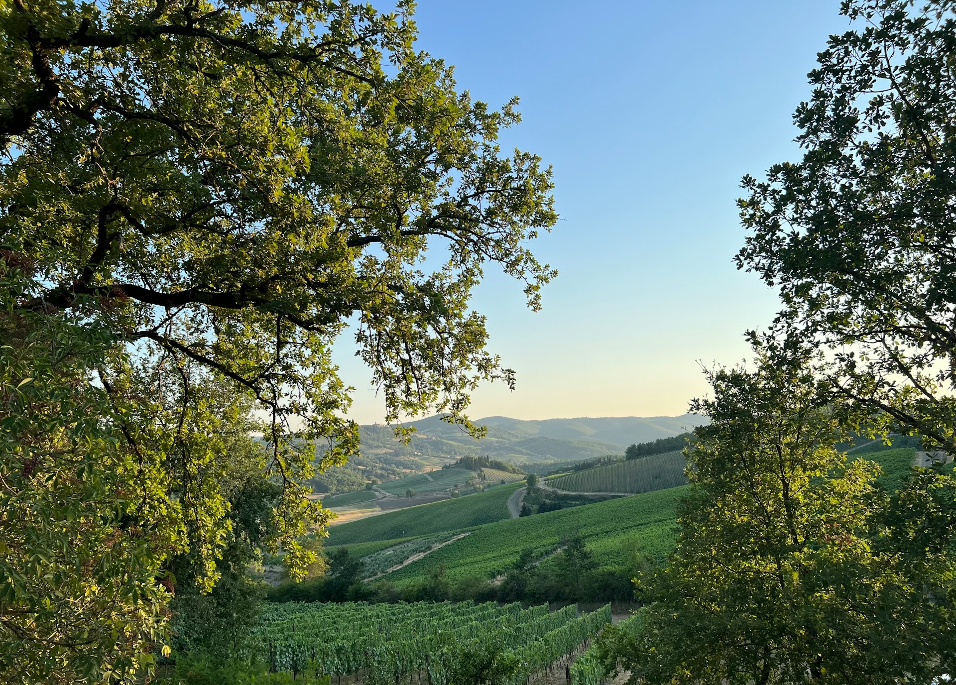 Ontdek de mooiste plekken in Toscane: Van cultuur tot natuur