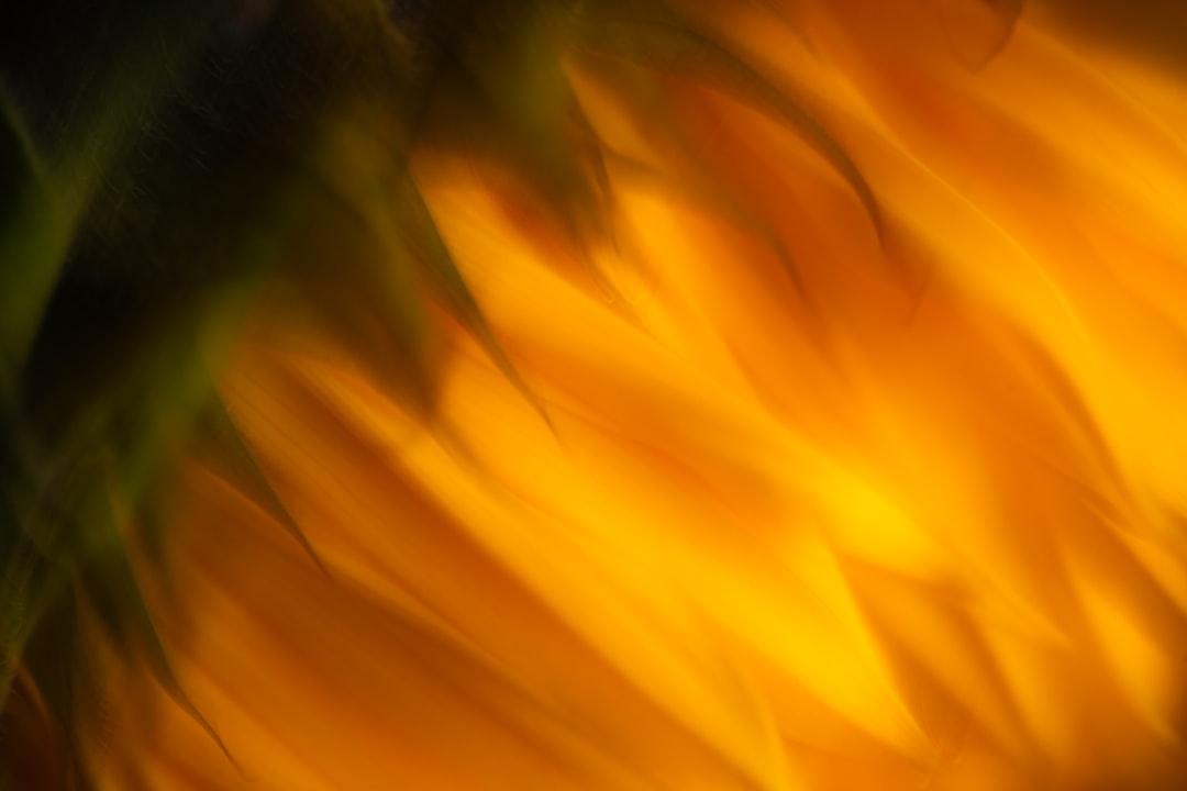 Onbekend telefoontje ontvangen? Alles over het nummer +31 33 808 16 64