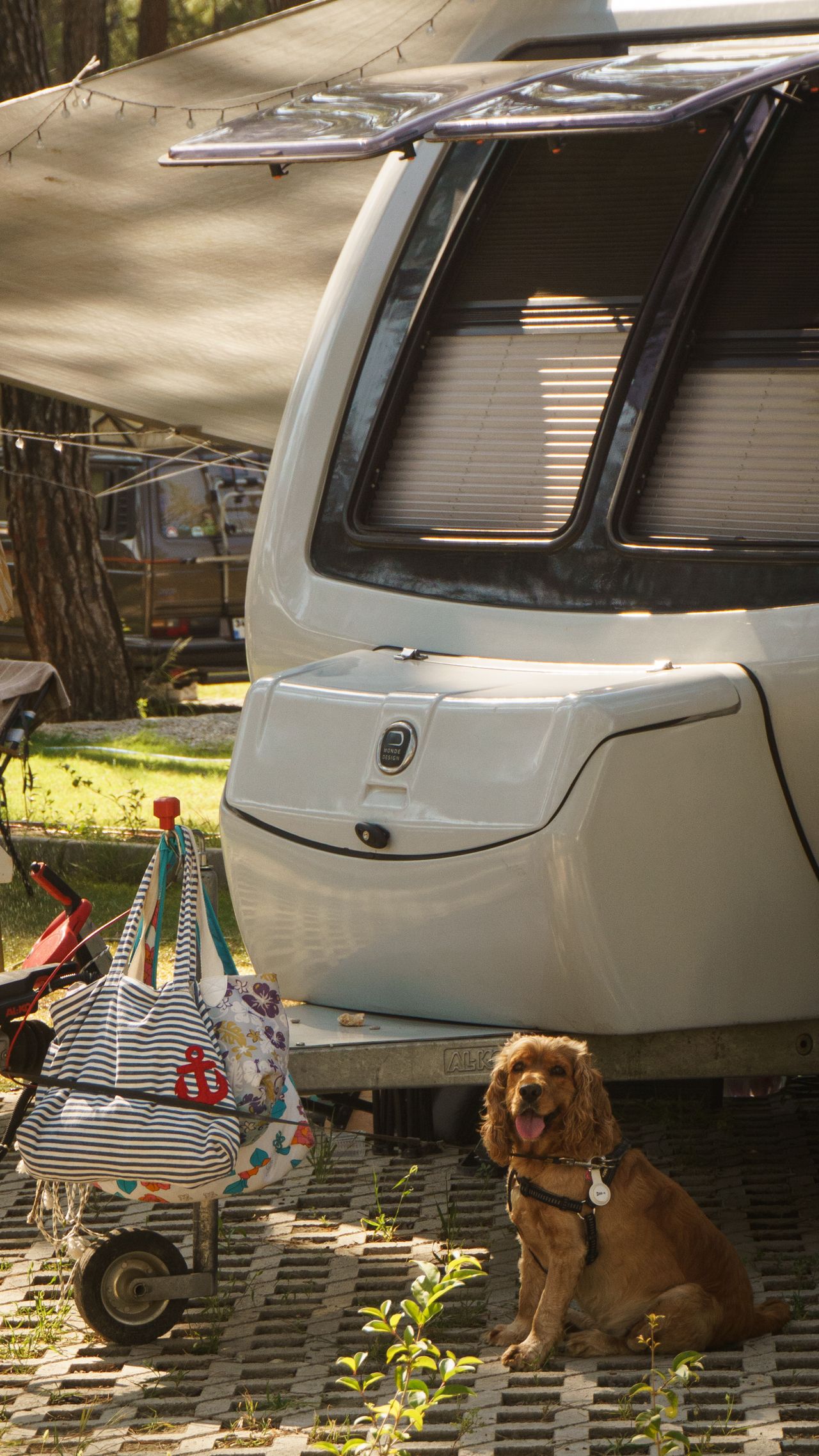 Met je hond op vakantie? Huur een camper